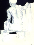 Seated Male Nude Rear View