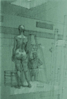 Standing Female Nude Green Paper Rear View