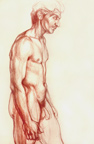 Standing Male Nude in Sanguine