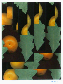 Leaves and Oranges I