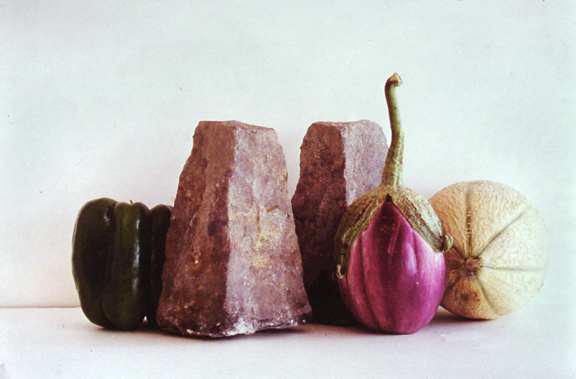 Still Life Photo - Eggplant